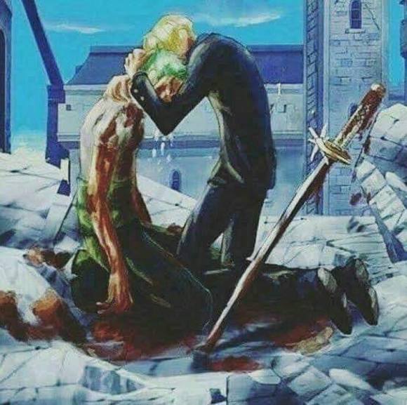 Meet your Posher, Darcy - Picture 1 of 1